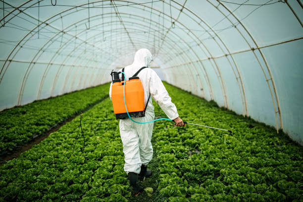 Reliable East Quogue, NY Pest Control Solutions