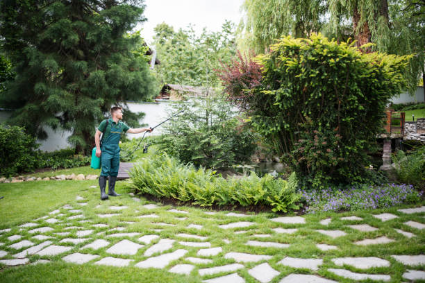 Best Bird Control  in East Quogue, NY
