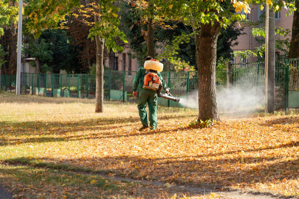Best Pest Prevention Services  in East Quogue, NY
